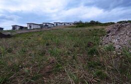 Teren de vânzare în Valea Lupului – Strada Lacului | 2 parcele a câte 580 mp
