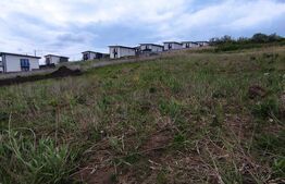 Teren de vânzare în Valea Lupului – Strada Lacului | 2 parcele a câte 580 mp