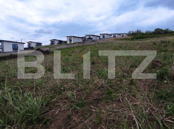 Teren de vânzare Valea Lupului - 195759TV | BLITZ Iași | Poza3