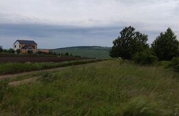 Teren de vânzare în Valea Lupului – Strada Fântâni | 500 mp