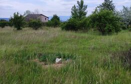 Teren de vânzare în Valea Lupului – Strada Fântâni | 500 mp