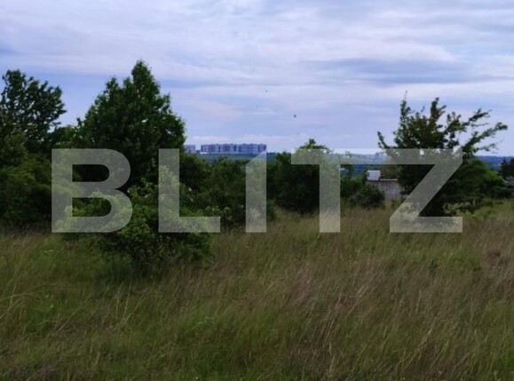 Teren de vânzare Valea Lupului - 195768TV | BLITZ Iași | Poza2