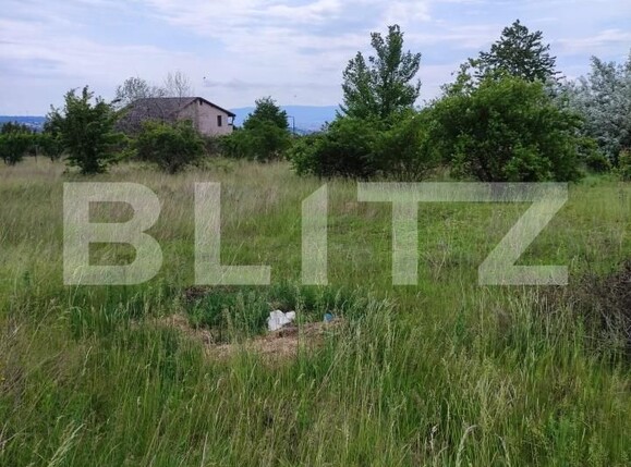 Teren de vânzare Valea Lupului - 195768TV | BLITZ Iași | Poza3