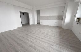 Penthouse, 128 mp, vedere spre Pepiniera Galata, zona Galata 