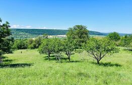 Teren 4879 mp, langa padure, zona Dobrovat