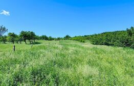 Teren 4879 mp, langa padure, zona Dobrovat