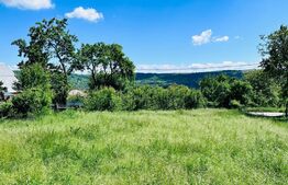 Teren 4879 mp, langa padure, zona Dobrovat