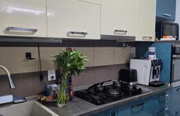 Apartament 3 camere, 66 mp, etaj intermediar, mobilat si utilat, Valea Lupului