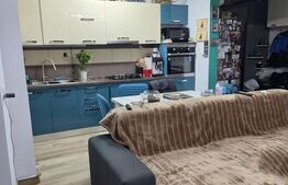 Apartament 3 camere, 66 mp, etaj intermediar, mobilat si utilat, Valea Lupului