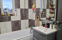 Apartament 3 camere, 66 mp, etaj intermediar, mobilat si utilat, Valea Lupului