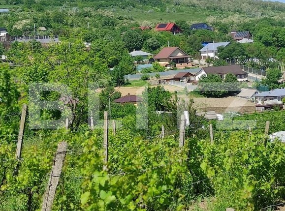 Casa de vânzare 2 camere Uricani - 196200CV | BLITZ Iași | Poza3