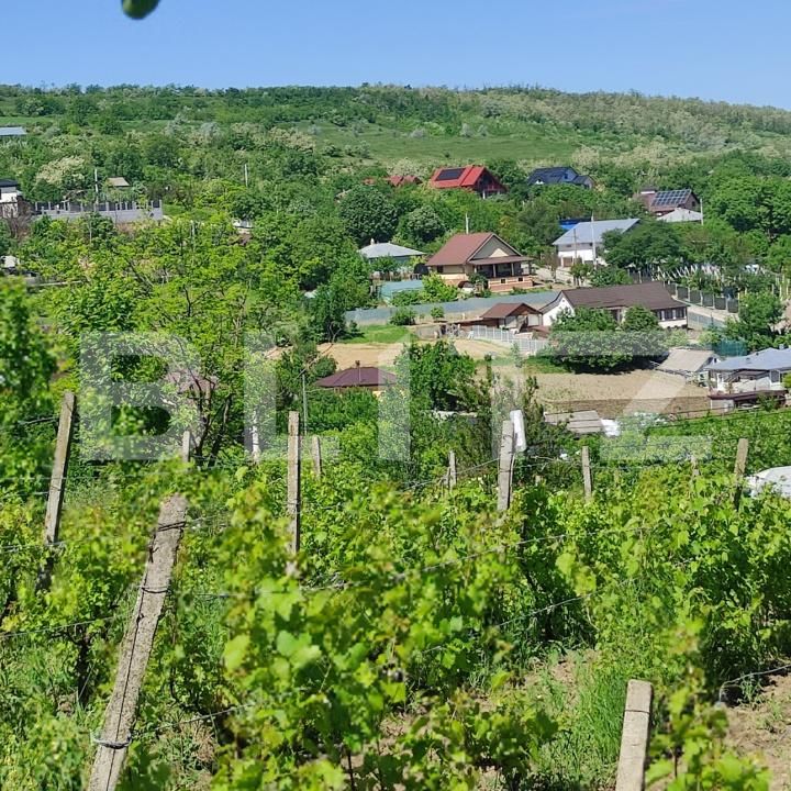 Casa de vânzare 2 camere Uricani - 196200CV | BLITZ Iași | Poza3