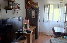 Cameră cămin, 21 mp, baie proprie, bucatarie, zona Pacurari