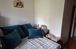 Cameră cămin, 21 mp, baie proprie, bucatarie, zona Pacurari