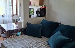 Cameră cămin, 21 mp, baie proprie, bucatarie, zona Pacurari