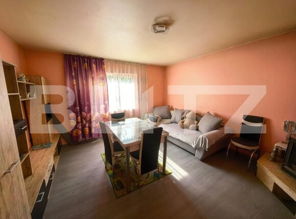 Casa de vânzare 4 camere Paun - 196375CV | BLITZ Iași | Poza5