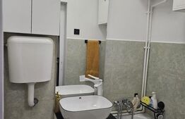 Camera de camin, 18 mp, renovat complet, zona Bularga 