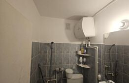 Camera de camin, 14 mp, zona Tatarasi