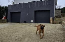 O SUPER Casa de vanzare, 220 mp, zona Bucium  !!! 