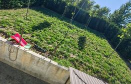 O SUPER Casa de vanzare, 220 mp, zona Bucium  !!! 