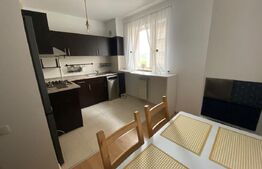 Apartament cu 2 camere decomandat, spatios si luminos in Tatarasi