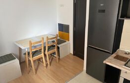 Apartament cu 2 camere decomandat, spatios si luminos in Tatarasi