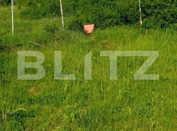 Teren de vânzare Bucium - 196806TV | BLITZ Iași | Poza2