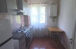 Apartament 2 camere, 44 mp, zona Tatarasi