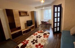 Apartament de 2 camere pe doua nivele, 55 mp, zona Tătărași