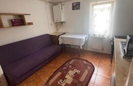 Apartament 1 cameră, 36 mp, zona Visani