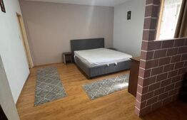 Apartament 1 cameră, 36 mp, zona Visani