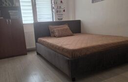 Apartament 1 cameră, 43 mp, loc de parcare, gradina - Valea Adanca