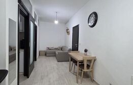 Apartament 1 cameră, 43 mp, loc de parcare, gradina - Valea Adanca