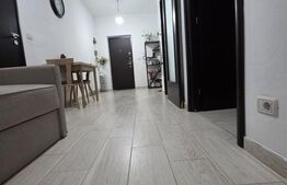 Apartament 1 cameră, 43 mp, loc de parcare, gradina - Valea Adanca