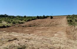 Teren 10.000 mp, cu PUZ aprobat , Sorogari-Moara de Vant- Spital Urgenta