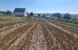 Teren 1.267 mp cu Autorizație de Construire emisă pentru casă P+M | Letcani 