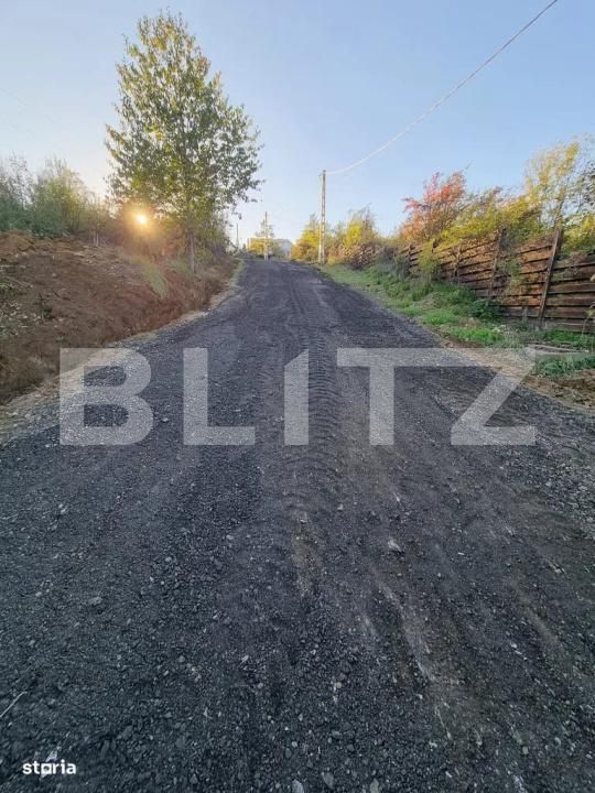 Teren de vânzare Bucium - 198495TV | BLITZ Iași | Poza2