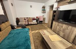 Apartament 2 camere de vânzare, 46 mp, zona Cantemir