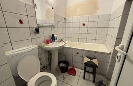 Apartament 2 camere de vânzare, 46 mp, zona Cantemir
