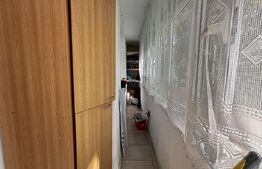 Apartament 2 camere de vânzare, 46 mp, zona Cantemir