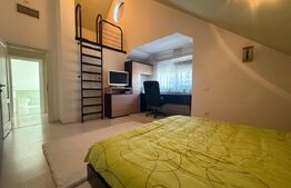 Casa individuala, 4 camere, 227 mp utili, zona Lidl Bucium