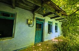 Casa batraneasca, 60 mp, teren intravilan 1.300 mp, zona Exterior Sud