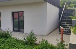 Apartament tip spațiu comercial cu terasă, 64 mp – zona Hlincea