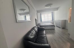  Apartament cu 1 camera,  40 mp,zona  Păcurari - Rediu