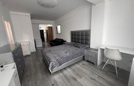  Apartament cu 1 camera,  40 mp,zona  Păcurari - Rediu