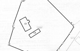 Casă bătrânească cu bucătărie de vară, 100 mp, teren 3.000 mp, zona Raducaneni