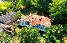 Casă bătrânească cu bucătărie de vară, 100 mp, teren 3.000 mp, zona Raducaneni
