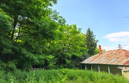 Casă bătrânească cu bucătărie de vară, 100 mp, teren 3.000 mp, zona Raducaneni