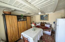 Casă bătrânească cu bucătărie de vară, 100 mp, teren 3.000 mp, zona Raducaneni