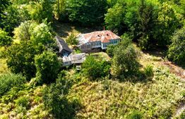 Casă bătrânească cu bucătărie de vară, 100 mp, teren 3.000 mp, zona Raducaneni